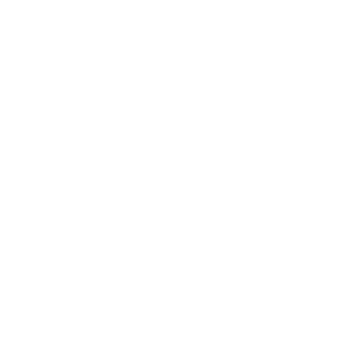 5531360538615e9e376d4993_AIG.png