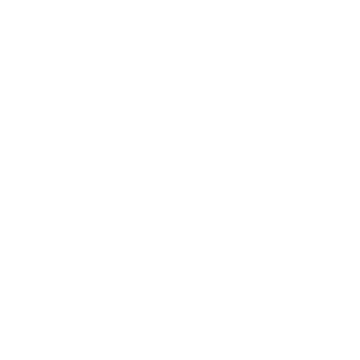 552d92c6b748685872944ea2_Allianza.png