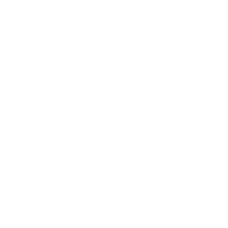 553136cc38615e9e376d49be_GNP.png