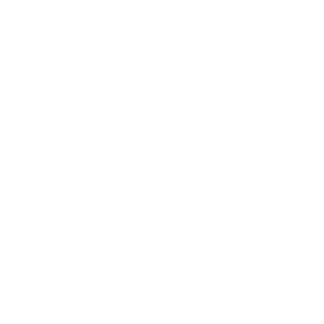553134c338615e9e376d4954_MetLife.png