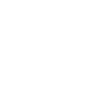 553136a8468f96a1375fca59_Plan%20Seguro.png