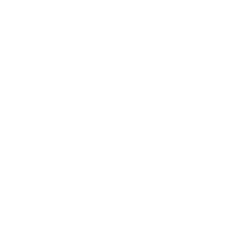 5531389c38615e9e376d4a11_Zurich.png